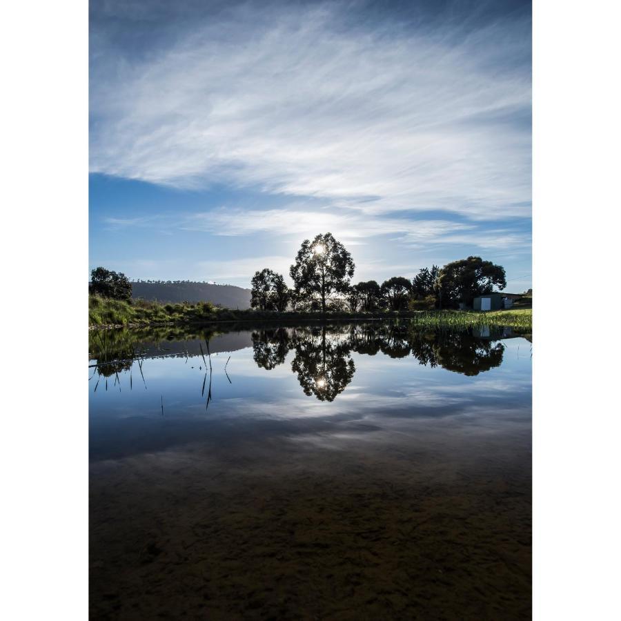 Charles Reuben Estate Pensionat Hobart Exteriör bild
