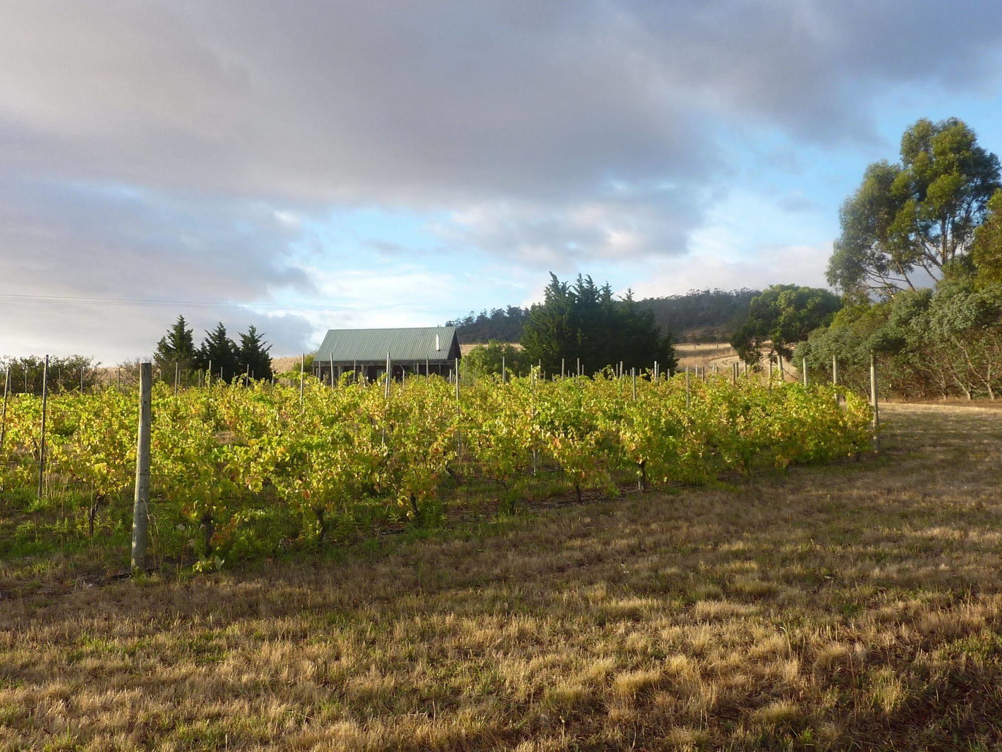 Charles Reuben Estate Pensionat Hobart Exteriör bild