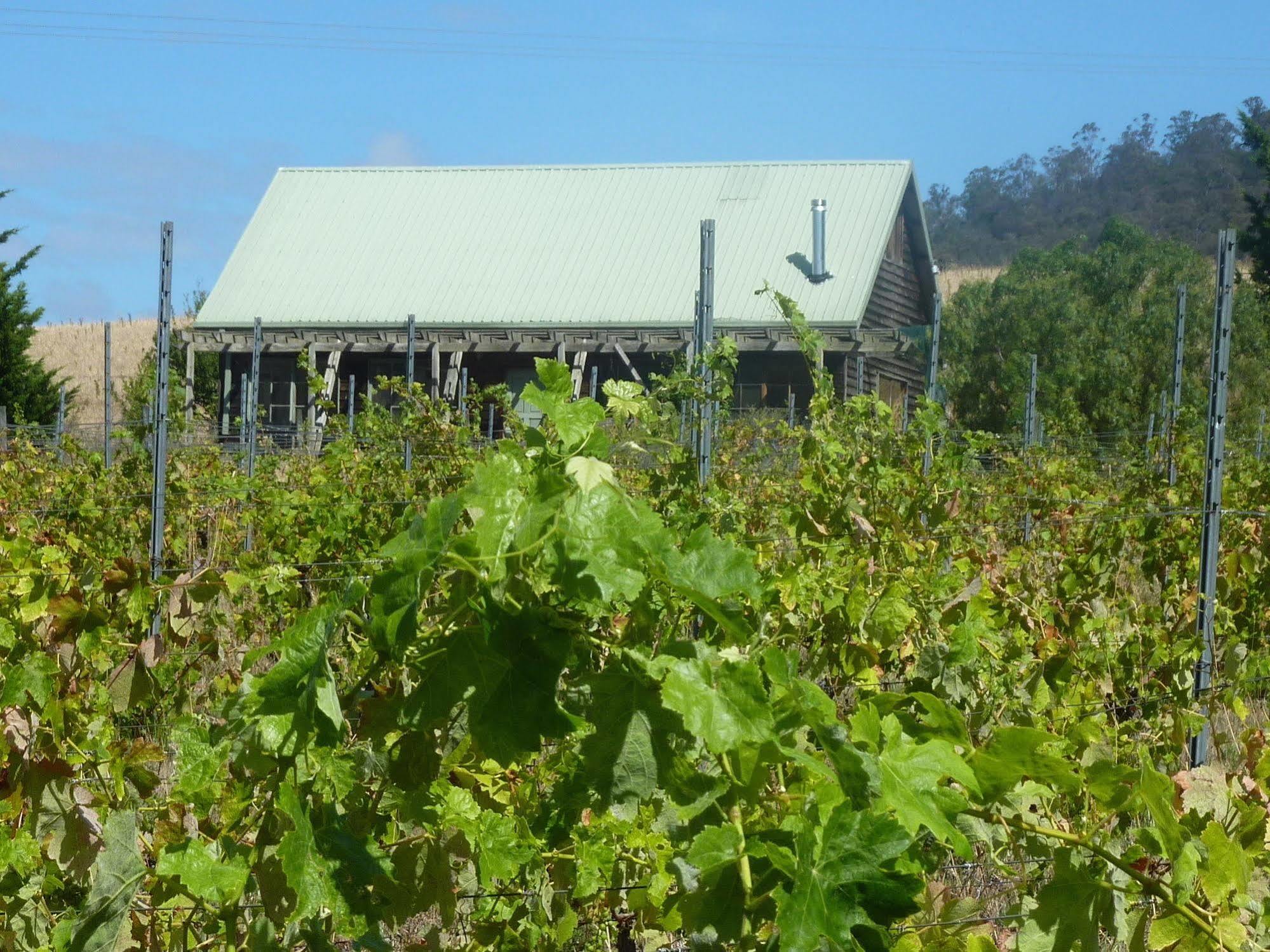 Charles Reuben Estate Pensionat Hobart Exteriör bild